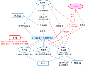 Read more about the article 不妊やガンを誘発するのはストレスと○○