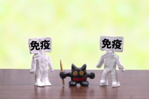 Read more about the article 分子栄養学的に免疫力を高めるには